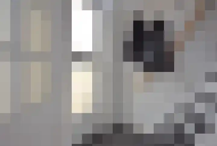 Inialoane 1 E Garyp thumbnail 22