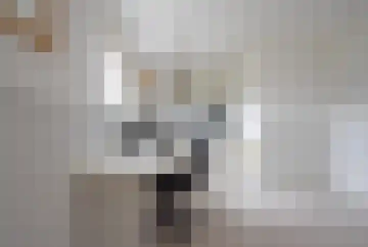 Inialoane 1 E Garyp thumbnail 28