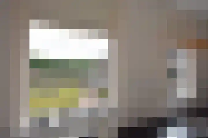 Inialoane 1 E Garyp thumbnail 32