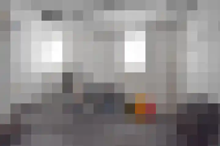 Inialoane 1 E Garyp thumbnail 35