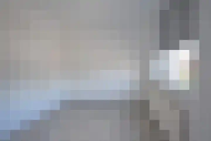 Inialoane 1 E Garyp thumbnail 46