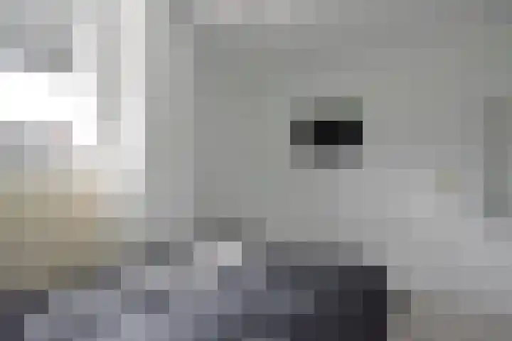 Inialoane 1 E Garyp thumbnail 48