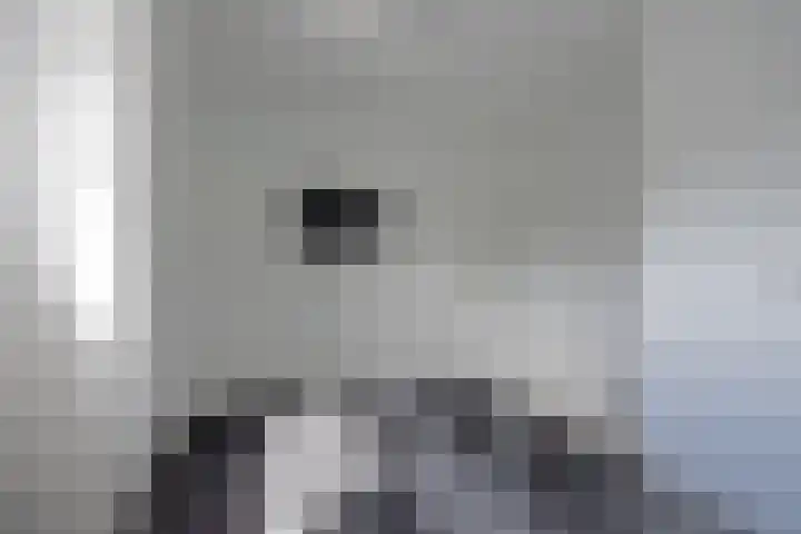 Inialoane 1 E Garyp thumbnail 49