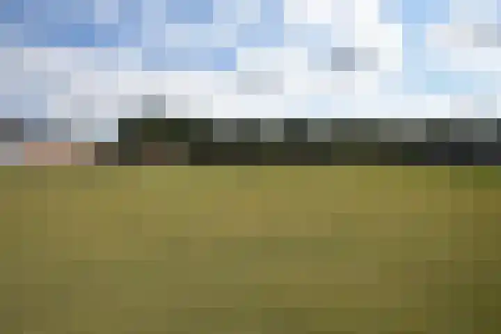 Inialoane 1 E Garyp thumbnail 9