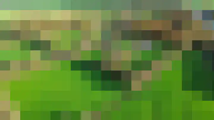 Inialoane 96 Garyp thumbnail 10