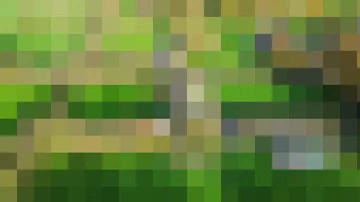Inialoane 96 Garyp thumbnail 11
