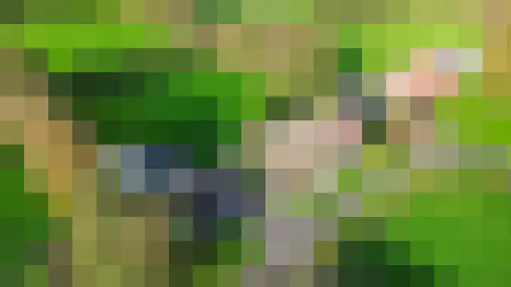 Inialoane 96 Garyp thumbnail 14