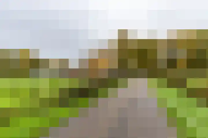 Inialoane 96 Garyp thumbnail 19
