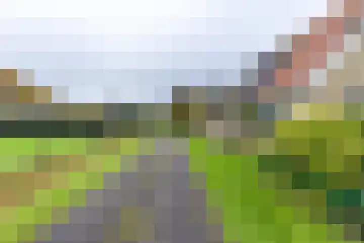 Inialoane 96 Garyp thumbnail 20