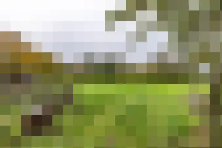 Inialoane 96 Garyp thumbnail 23