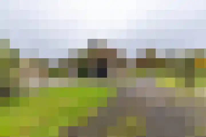 Inialoane 96 Garyp thumbnail 24