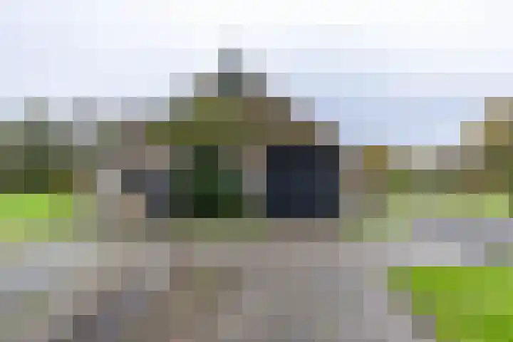 Inialoane 96 Garyp thumbnail 26