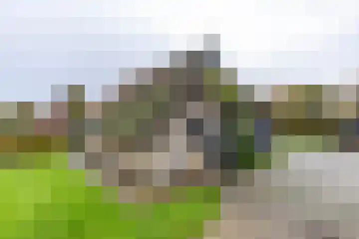 Inialoane 96 Garyp thumbnail 27