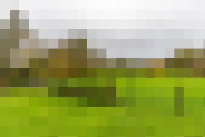 Inialoane 96 Garyp thumbnail 29