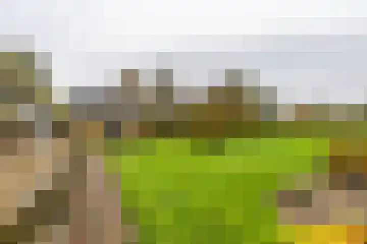 Inialoane 96 Garyp thumbnail 32