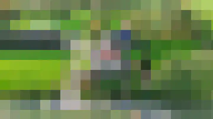 Inialoane 96 Garyp thumbnail 4