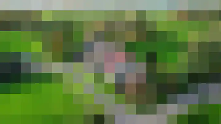 Inialoane 96 Garyp thumbnail 65