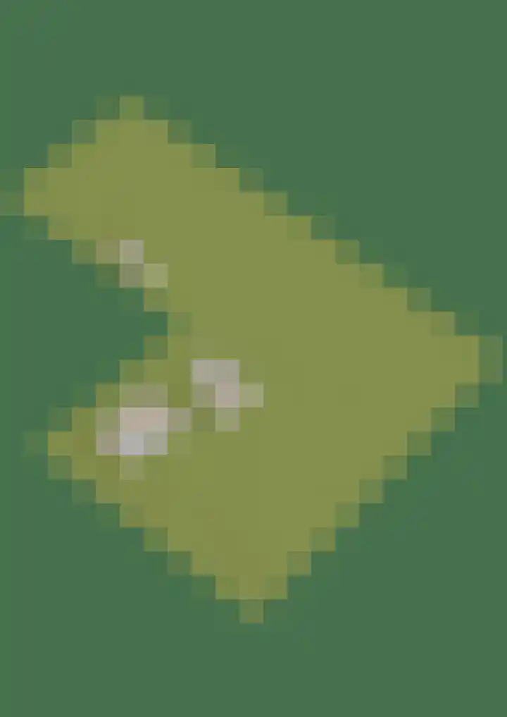 Inialoane 96 Garyp thumbnail 77