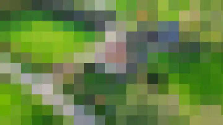 Inialoane 96 Garyp thumbnail 8