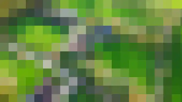 Inialoane 96 Garyp thumbnail 9