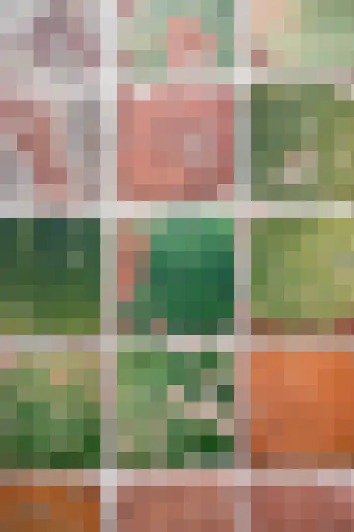 Iniastrjitte 34 Wierum thumbnail 11