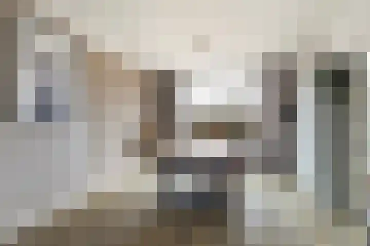 Iniastrjitte 34 Wierum thumbnail 12