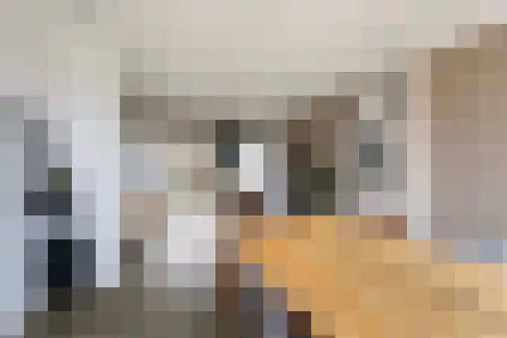Iniastrjitte 34 Wierum thumbnail 13