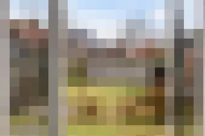 Iniastrjitte 34 Wierum thumbnail 24