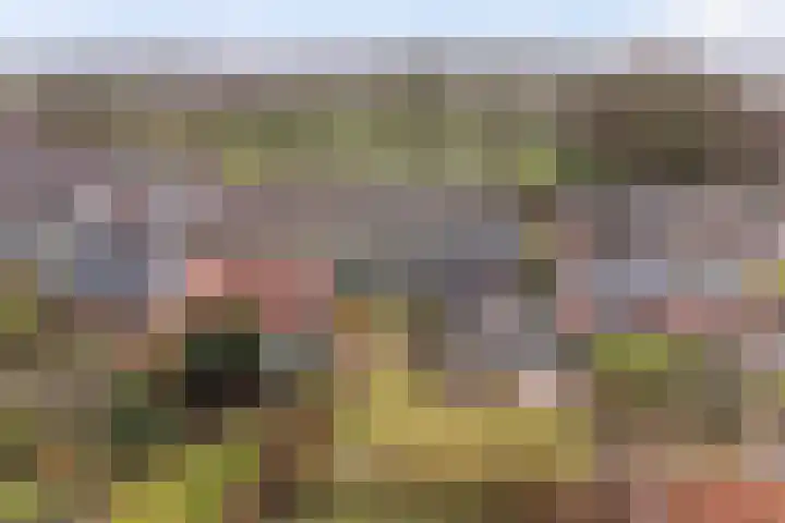 Iniastrjitte 34 Wierum thumbnail 28