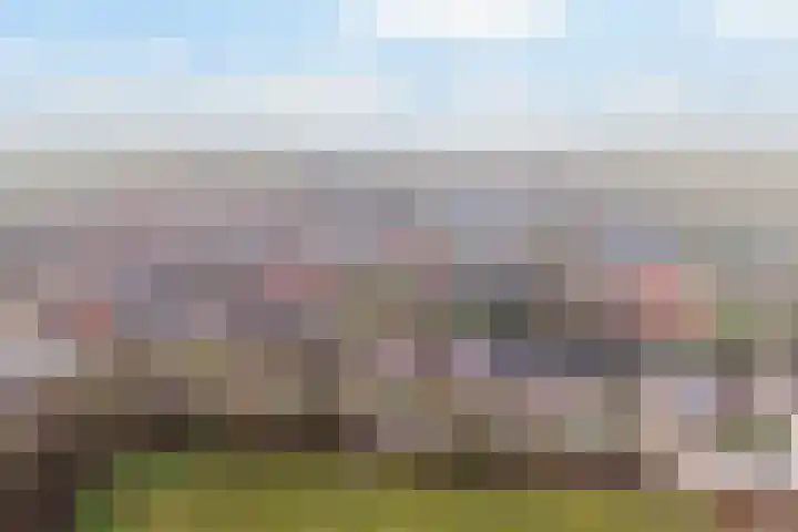 Iniastrjitte 34 Wierum thumbnail 43