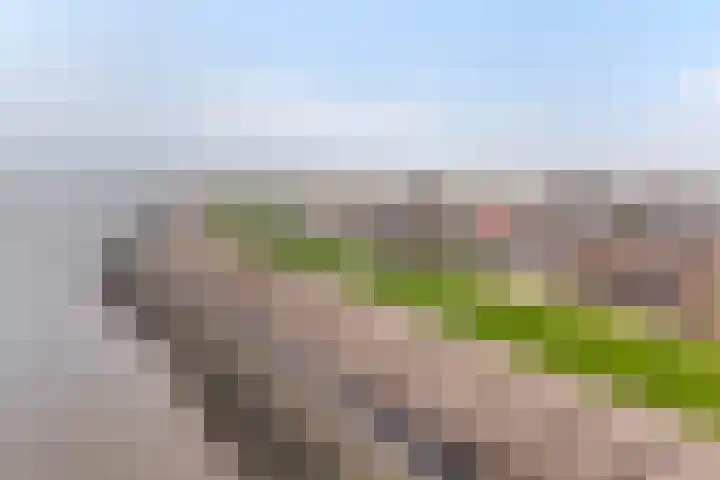 Iniastrjitte 34 Wierum thumbnail 44