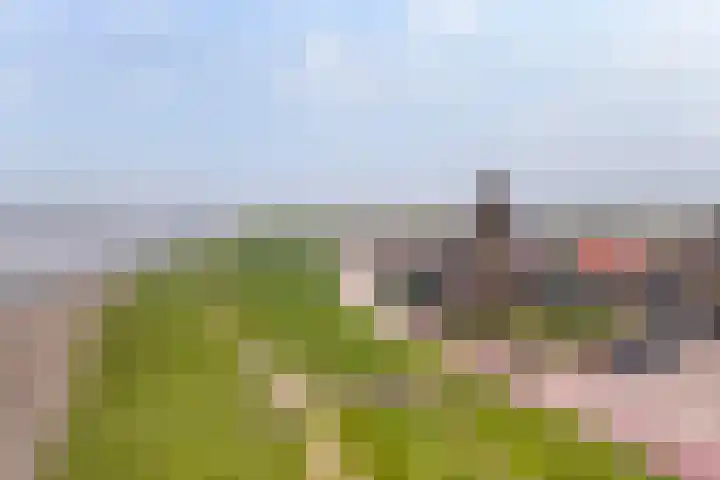 Iniastrjitte 34 Wierum thumbnail 45