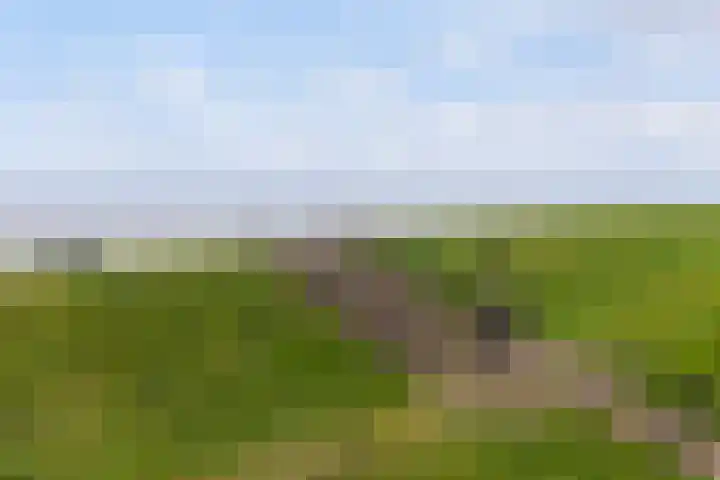 Iniastrjitte 34 Wierum thumbnail 46