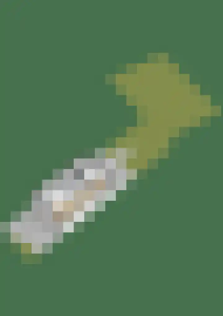 Iniastrjitte 34 Wierum thumbnail 48