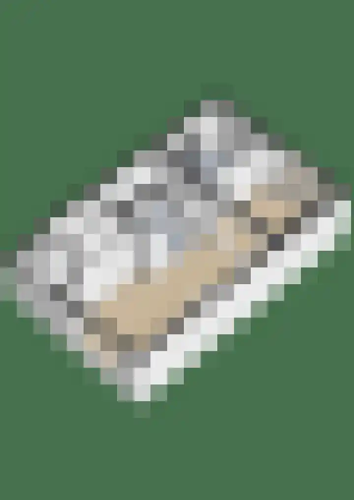 Iniastrjitte 34 Wierum thumbnail 50