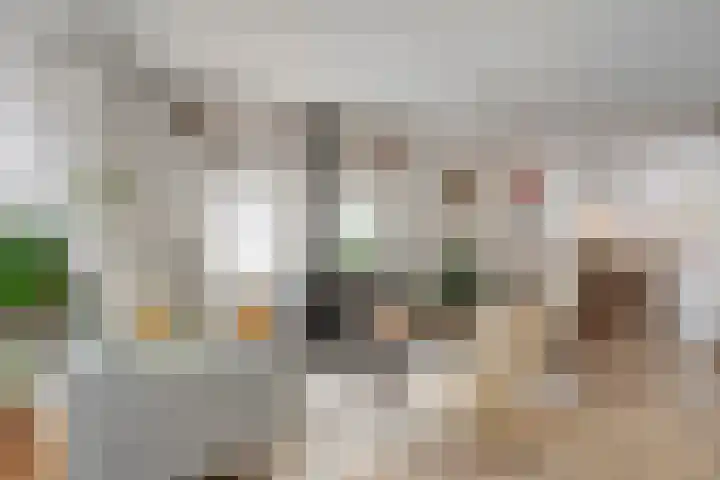 Inkarnaatklaver 21 Rotterdam thumbnail 11
