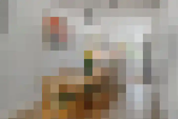 Inkarnaatklaver 21 Rotterdam thumbnail 12