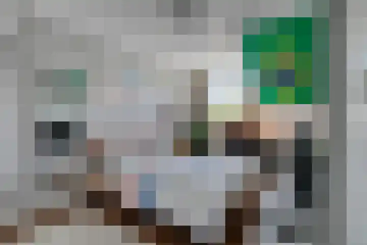 Inkarnaatklaver 21 Rotterdam thumbnail 18
