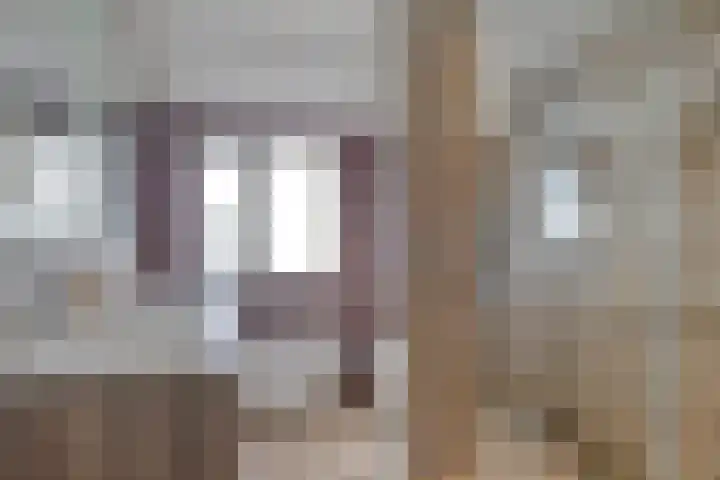 Inkarnaatklaver 21 Rotterdam thumbnail 20
