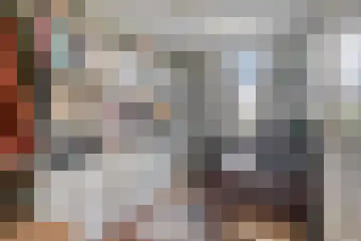 Inkarnaatklaver 21 Rotterdam thumbnail 23