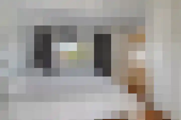 Inkarnaatklaver 21 Rotterdam thumbnail 27