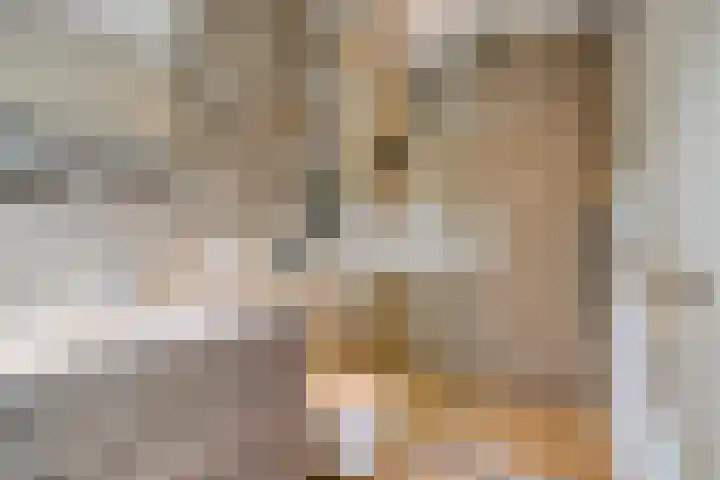 Inkarnaatklaver 21 Rotterdam thumbnail 31