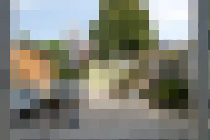 Inkarnaatklaver 21 Rotterdam thumbnail 33