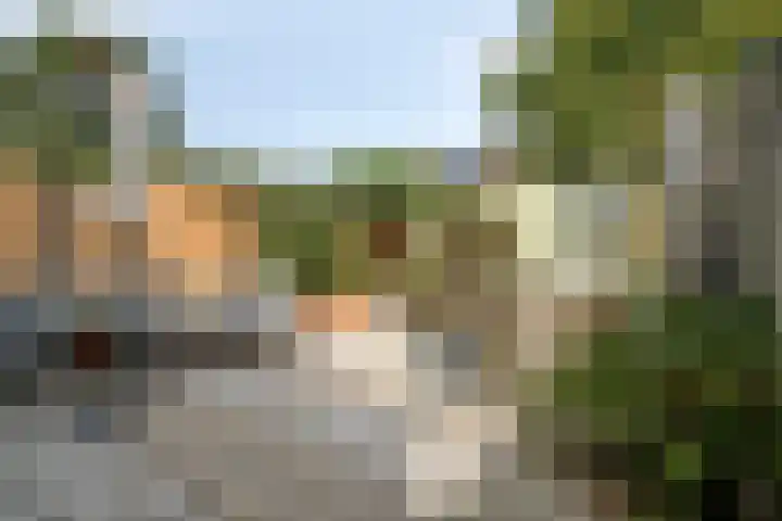 Inkarnaatklaver 21 Rotterdam thumbnail 34