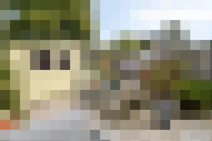 Inkarnaatklaver 21 Rotterdam thumbnail 35