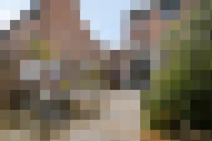 Inkarnaatklaver 21 Rotterdam thumbnail 36