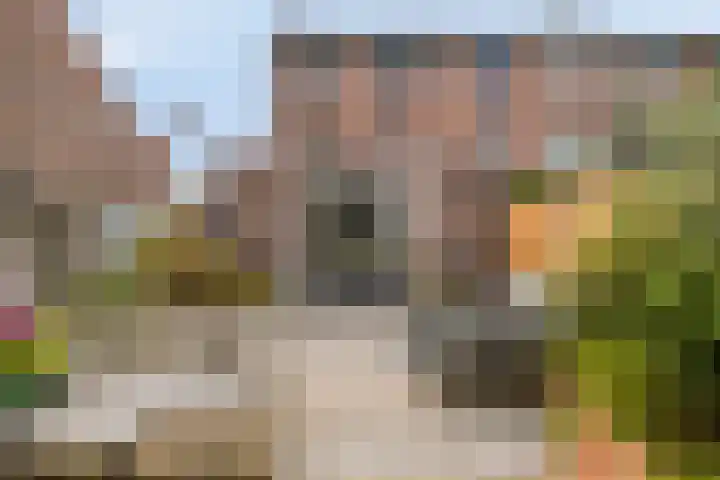 Inkarnaatklaver 21 Rotterdam thumbnail 37