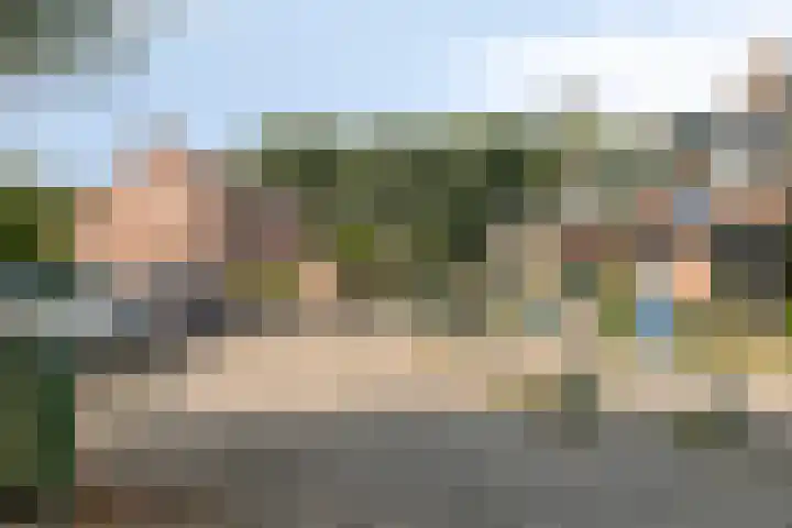 Inkarnaatklaver 21 Rotterdam thumbnail 38