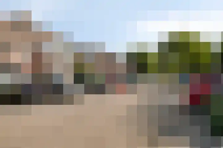 Inkarnaatklaver 21 Rotterdam thumbnail 39