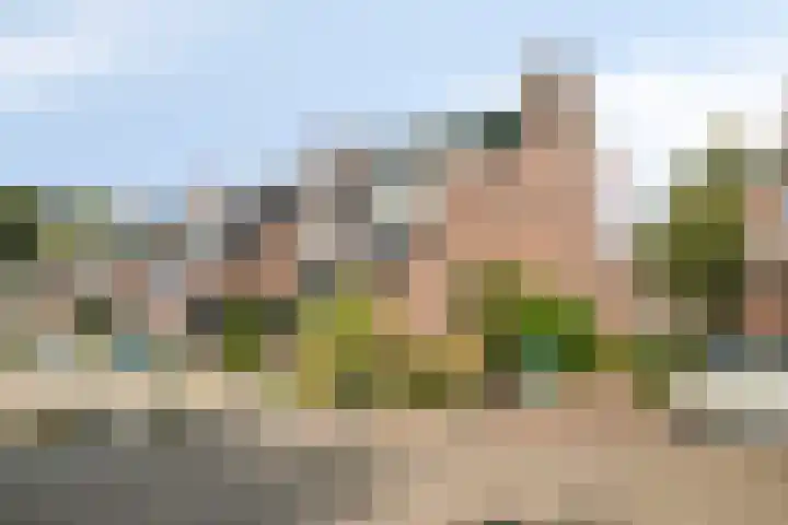 Inkarnaatklaver 21 Rotterdam thumbnail 4